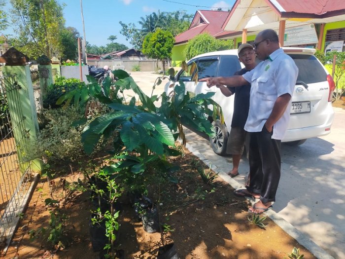 Menuju Madrasah Hijau, MTsN 4 Bungo Hijaukan Lingkungan dengan Tanaman Buah Menuju Madrasah Hijau, MTsN 4 Bungo Hijaukan Lingkungan dengan Tanaman Buah
