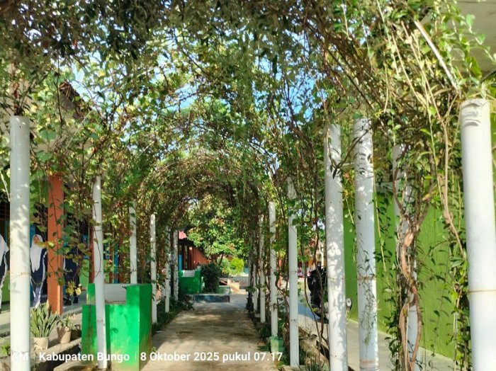 Terowongan Hijau Tanaman Buah Anggur di MTsN 4 Bungo, Ikon Baru Keasrian Madrasah