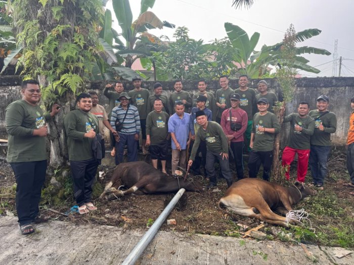 Wujud Kepedulian, Kemenag Bungo Beserta Jajaran Kasi dan Kepala Madrasah Qurban 7 Ekor Sapi