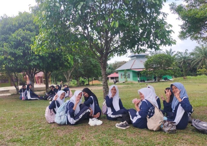 Pohon Rindang di MTsN 4 Bungo: Sarana Belajar dan Bersantai yang Nyaman Bagi Siswa