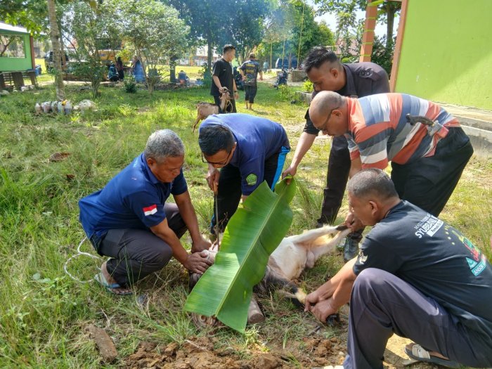 Merawat Ukhuwah Pasca Idulfitri, MTsN 4 Bungo Gelar Tasyakuran Halal Merawat Ukhuwah Pasca Idulfitri, MTsN 4 Bungo Gelar Tasyakuran Halal