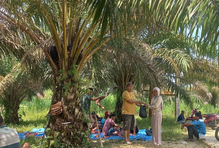Meneladani Keikhlasan Nabi Ibrahim AS, Siswi MTsN 4 Bungo Tunaikan Ibadah Kurban