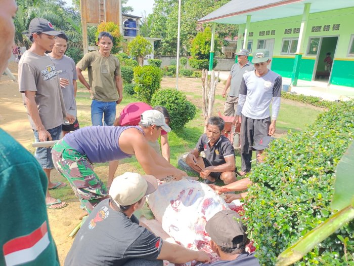 Gema Takbir dan Ukhuwah, Warga Kampung 5 Daya Murni Tebar Berkah 3 Sapi & 8 Kambing Gema Takbir dan Ukhuwah, Warga Kampung 5 Daya Murni Tebar Berkah 3 Sapi & 8 Kambing
