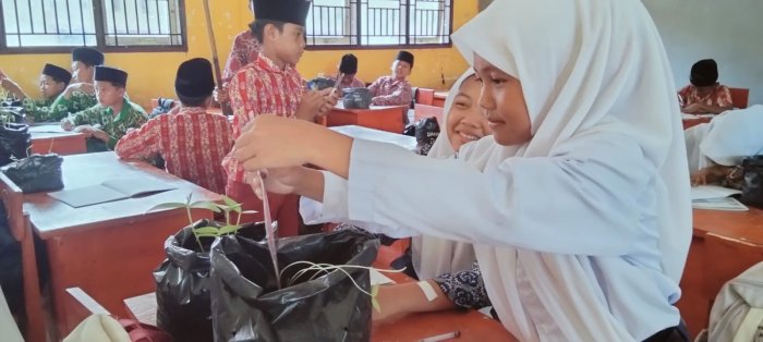 Siswa MTsN 4 Bungo Teliti Pengaruh Sinar Matahari pada Tanaman Kacang Hijau Siswa MTsN 4 Bungo Teliti Pengaruh Sinar Matahari pada Tanaman Kacang Hijau